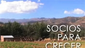 Socios para crecer - Versión resumen (6 m...